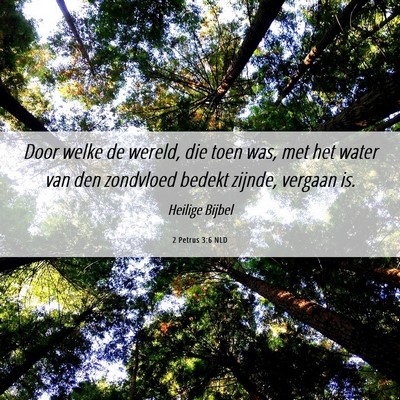 Picture 06 - 2 Petrus 3:6 NLD - Door welke de wereld, die toen was, met het water - Bible Verse Picture