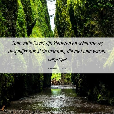 Picture 06 - 2 Samuël 1:11 NLD - Toen vatte David zijn klederen en scheurde ze; - Bible Verse Picture