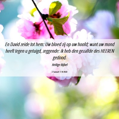 Picture 06 - 2 Samuël 1:16 NLD - En David zeide tot hem: Uw bloed zij op uw hoofd; - Bible Verse Picture