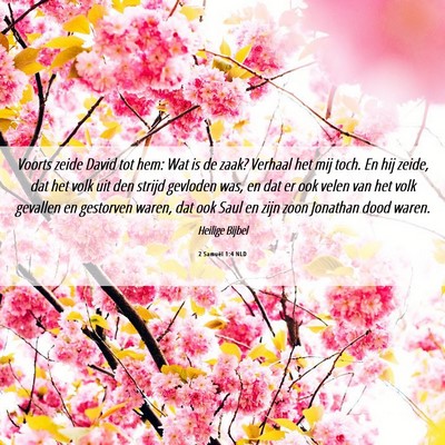 Picture 06 - 2 Samuël 1:4 NLD - Voorts zeide David tot hem: Wat is de zaak? - Bible Verse Picture