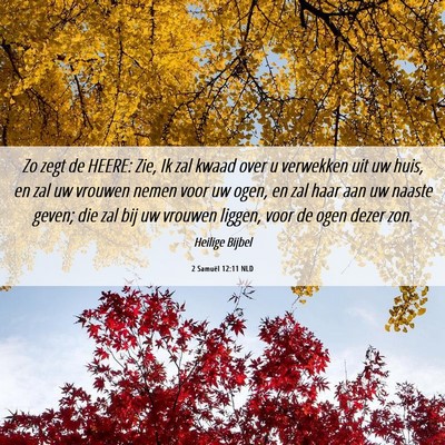 Picture 06 - 2 Samuël 12:11 NLD - Zo zegt de HEERE: Zie, Ik zal kwaad over u - Bible Verse Picture