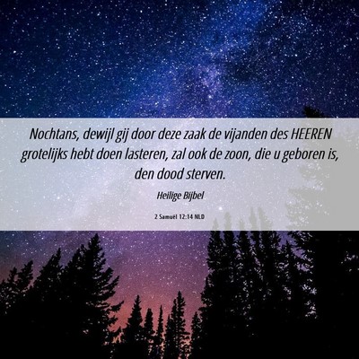 Picture 06 - 2 Samuël 12:14 NLD - Nochtans, dewijl gij door deze zaak de vijanden - Bible Verse Picture
