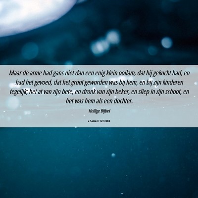 Picture 06 - 2 Samuël 12:3 NLD - Maar de arme had gans niet dan een enig klein - Bible Verse Picture