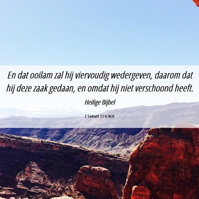Picture 06 - 2 Samuël 12:6 NLD - En dat ooilam zal hij viervoudig wedergeven, - Bible Verse Picture