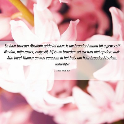 Picture 06 - 2 Samuël 13:20 NLD - En haar broeder Absalom zeide tot haar: Is uw - Bible Verse Picture