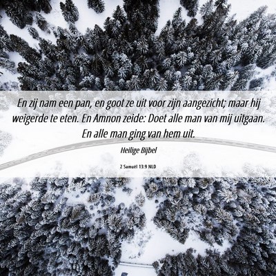 Picture 06 - 2 Samuël 13:9 NLD - En zij nam een pan, en goot ze uit voor zijn - Bible Verse Picture