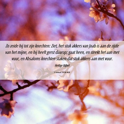 Picture 06 - 2 Samuël 14:30 NLD - Zo zeide hij tot zijn knechten: Ziet, het stuk - Bible Verse Picture