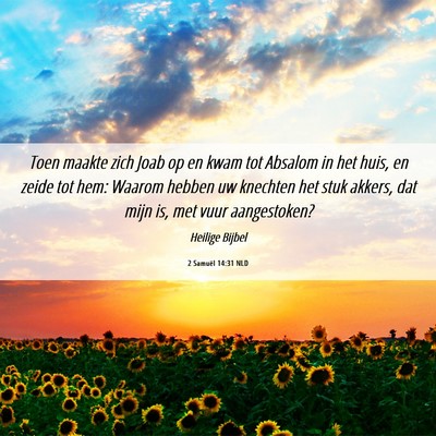 Picture 06 - 2 Samuël 14:31 NLD - Toen maakte zich Joab op en kwam tot Absalom in - Bible Verse Picture