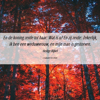 Picture 06 - 2 Samuël 14:5 NLD - En de koning zeide tot haar: Wat is u? En zij - Bible Verse Picture