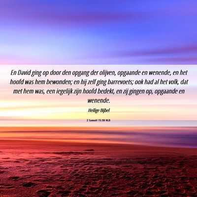 Picture 06 - 2 Samuël 15:30 NLD - En David ging op door den opgang der olijven, - Bible Verse Picture