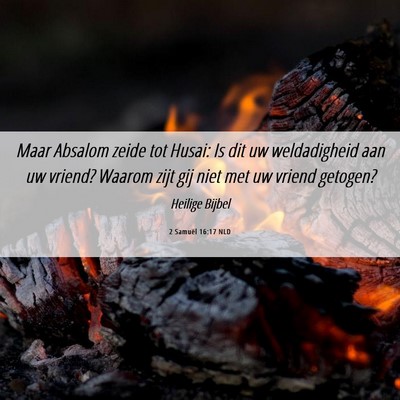 Picture 06 - 2 Samuël 16:17 NLD - Maar Absalom zeide tot Husai: Is dit uw - Bible Verse Picture