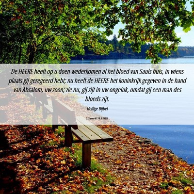 Picture 06 - 2 Samuël 16:8 NLD - De HEERE heeft op u doen wederkomen al het bloed - Bible Verse Picture
