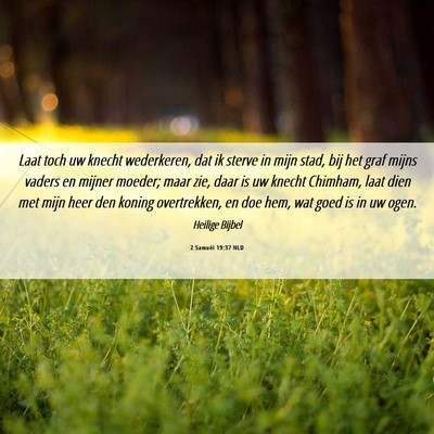 Picture 06 - 2 Samuël 19:37 NLD - Laat toch uw knecht wederkeren, dat ik sterve in - Bible Verse Picture