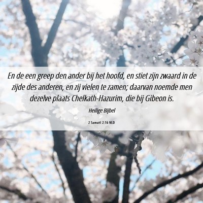 Picture 06 - 2 Samuël 2:16 NLD - En de een greep den ander bij het hoofd, en stiet - Bible Verse Picture