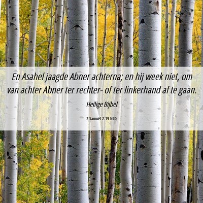 Picture 06 - 2 Samuël 2:19 NLD - En Asahel jaagde Abner achterna; en hij week - Bible Verse Picture