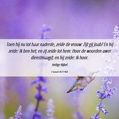 Picture 06 - 2 Samuël 20:17 NLD - Toen hij nu tot haar naderde, zeide de vrouw: - Bible Verse Picture