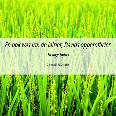 Picture 06 - 2 Samuël 20:26 NLD - En ook was Ira, de Jairiet, Davids - Bible Verse Picture