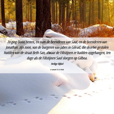 Picture 06 - 2 Samuël 21:12 NLD - Zo ging David henen, en nam de beenderen van - Bible Verse Picture