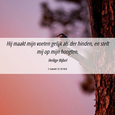 Picture 06 - 2 Samuël 22:34 NLD - Hij maakt mijn voeten gelijk als der hinden, en - Bible Verse Picture
