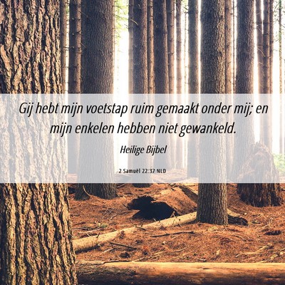 Picture 06 - 2 Samuël 22:37 NLD - Gij hebt mijn voetstap ruim gemaakt onder mij; en - Bible Verse Picture