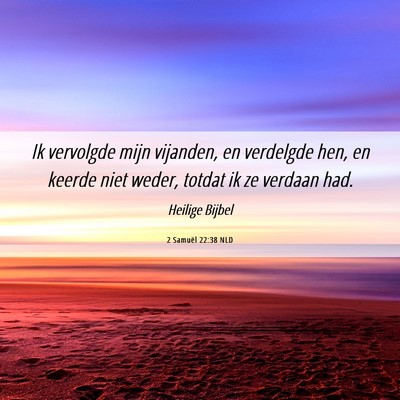 Picture 06 - 2 Samuël 22:38 NLD - Ik vervolgde mijn vijanden, en verdelgde hen, en - Bible Verse Picture