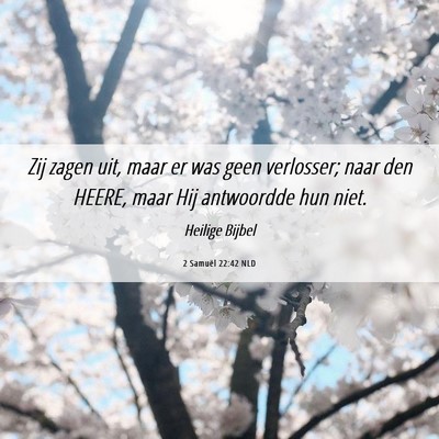 Picture 06 - 2 Samuël 22:42 NLD - Zij zagen uit, maar er was geen verlosser; naar - Bible Verse Picture