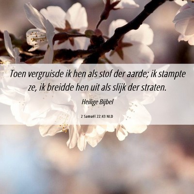 Picture 06 - 2 Samuël 22:43 NLD - Toen vergruisde ik hen als stof der aarde; ik - Bible Verse Picture