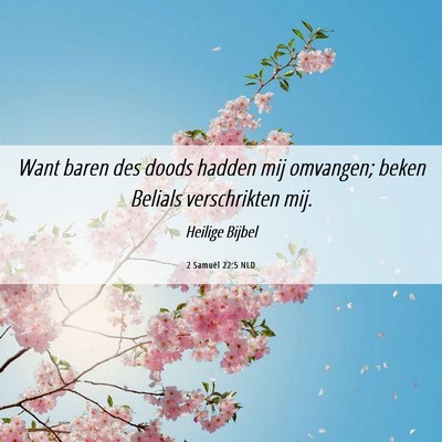 Picture 06 - 2 Samuël 22:5 NLD - Want baren des doods hadden mij omvangen; beken - Bible Verse Picture