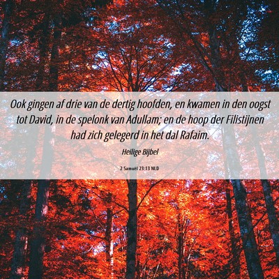 Picture 06 - 2 Samuël 23:13 NLD - Ook gingen af drie van de dertig hoofden, en - Bible Verse Picture
