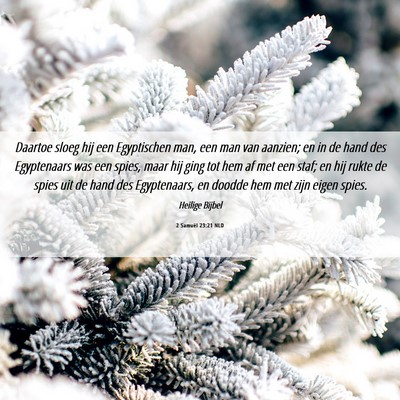 Picture 06 - 2 Samuël 23:21 NLD - Daartoe sloeg hij een Egyptischen man, een man - Bible Verse Picture