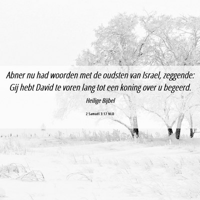 Picture 06 - 2 Samuël 3:17 NLD - Abner nu had woorden met de oudsten van Israel, - Bible Verse Picture
