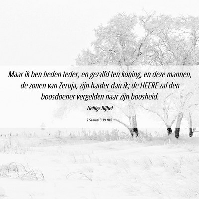 Picture 06 - 2 Samuël 3:39 NLD - Maar ik ben heden teder, en gezalfd ten koning, - Bible Verse Picture