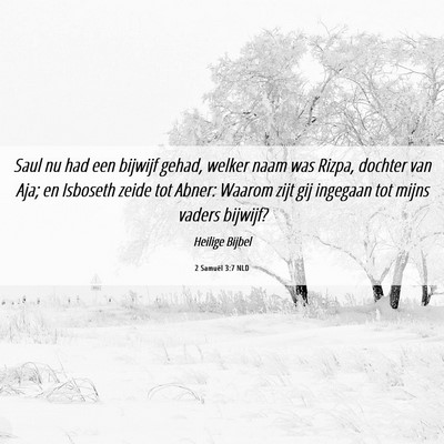 Picture 06 - 2 Samuël 3:7 NLD - Saul nu had een bijwijf gehad, welker naam was - Bible Verse Picture