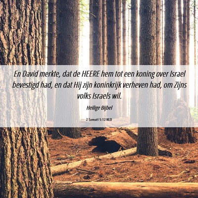 Picture 06 - 2 Samuël 5:12 NLD - En David merkte, dat de HEERE hem tot een koning - Bible Verse Picture