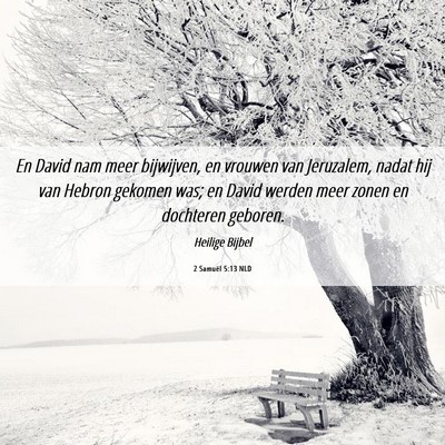 Picture 06 - 2 Samuël 5:13 NLD - En David nam meer bijwijven, en vrouwen van - Bible Verse Picture