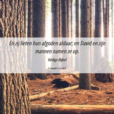 Picture 06 - 2 Samuël 5:21 NLD - En zij lieten hun afgoden aldaar; en David en - Bible Verse Picture