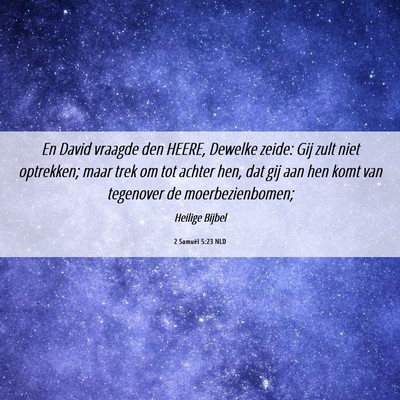 Picture 06 - 2 Samuël 5:23 NLD - En David vraagde den HEERE, Dewelke zeide: Gij - Bible Verse Picture