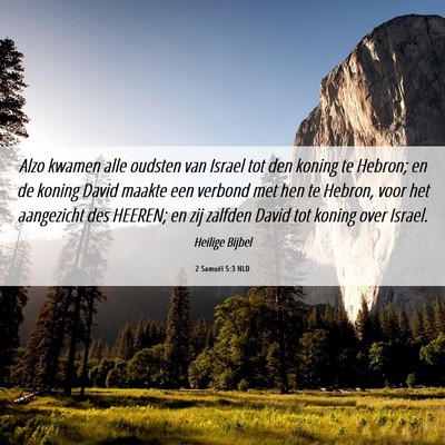 Picture 06 - 2 Samuël 5:3 NLD - Alzo kwamen alle oudsten van Israel tot den - Bible Verse Picture