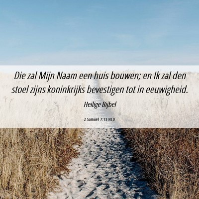 Picture 06 - 2 Samuël 7:13 NLD - Die zal Mijn Naam een huis bouwen; en Ik zal den - Bible Verse Picture
