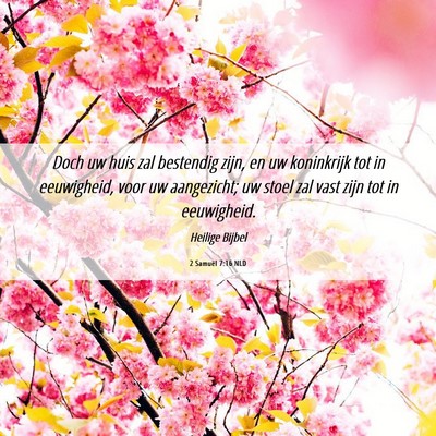 Picture 06 - 2 Samuël 7:16 NLD - Doch uw huis zal bestendig zijn, en uw koninkrijk - Bible Verse Picture
