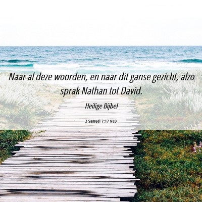 Picture 06 - 2 Samuël 7:17 NLD - Naar al deze woorden, en naar dit ganse gezicht, - Bible Verse Picture