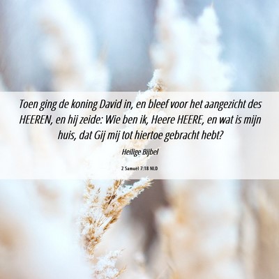 Picture 06 - 2 Samuël 7:18 NLD - Toen ging de koning David in, en bleef voor het - Bible Verse Picture