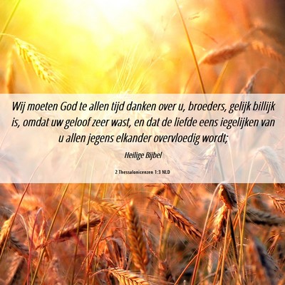 Picture 06 - 2 Thessalonicenzen 1:3 NLD - Wij moeten God te allen tijd danken over u, - Bible Verse Picture