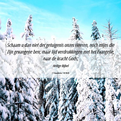 Picture 06 - 2 Timotheüs 1:8 NLD - Schaam u dan niet der getuigenis onzes Heeren, - Bible Verse Picture