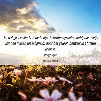Picture 06 - 2 Timotheüs 3:15 NLD - En dat gij van kinds af de heilige Schriften - Bible Verse Picture