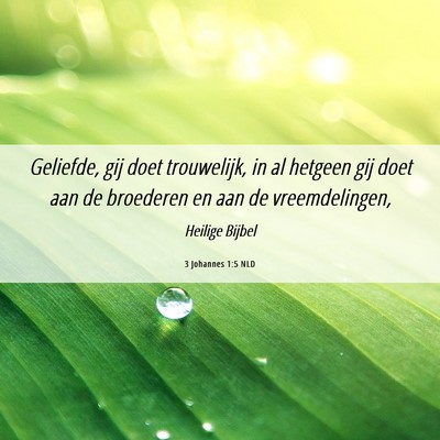 Picture 06 - 3 Johannes 1:5 NLD - Geliefde, gij doet trouwelijk, in al hetgeen gij - Bible Verse Picture