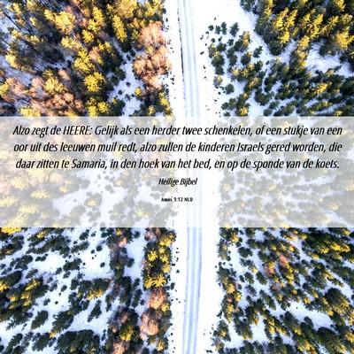 Picture 06 - Amos 3:12 NLD - Alzo zegt de HEERE: Gelijk als een herder twee - Bible Verse Picture
