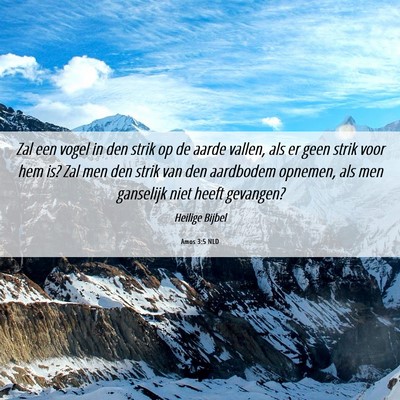 Picture 06 - Amos 3:5 NLD - Zal een vogel in den strik op de aarde vallen, - Bible Verse Picture