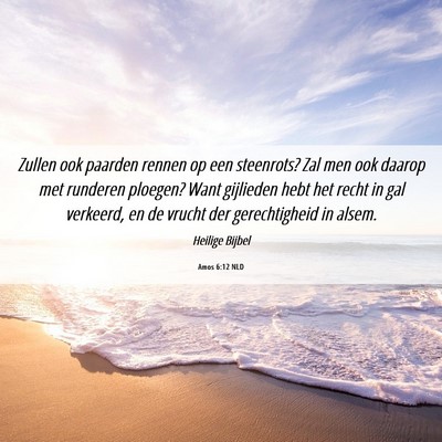 Picture 06 - Amos 6:12 NLD - Zullen ook paarden rennen op een steenrots? Zal - Bible Verse Picture