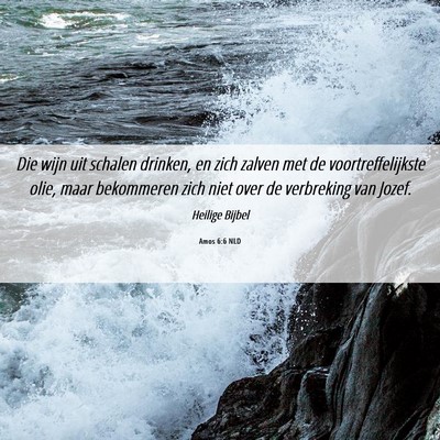 Picture 06 - Amos 6:6 NLD - Die wijn uit schalen drinken, en zich zalven met - Bible Verse Picture